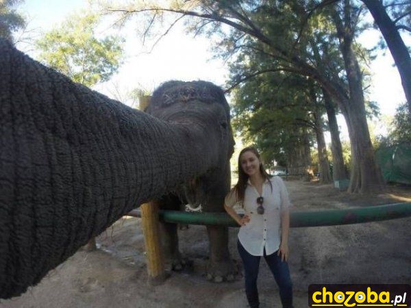 Selfie ze słoniem