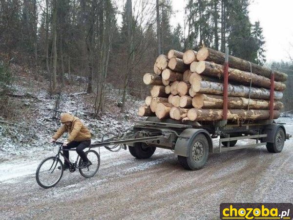 Daje radę