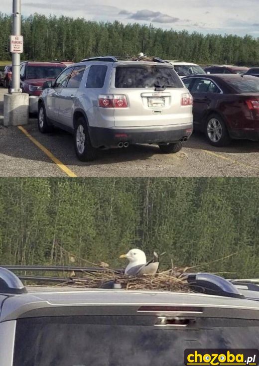 Gdy za długo parkujesz