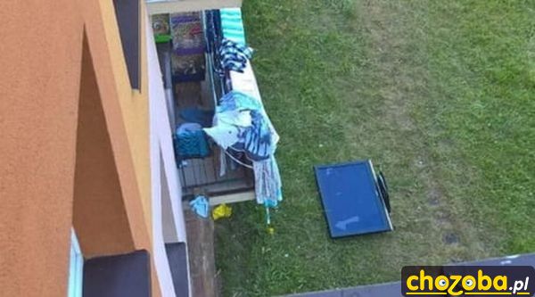 Polski telewizor po meczu