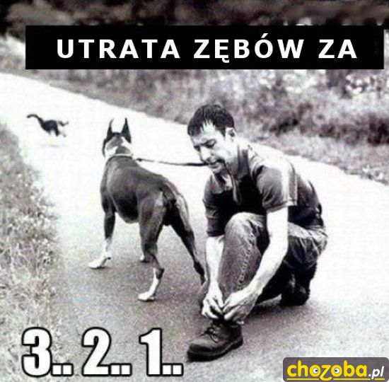 Utrata zębów za 3.. 2.. 1..