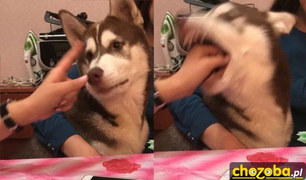 I po ręce