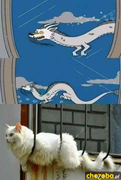 Jak z bajki