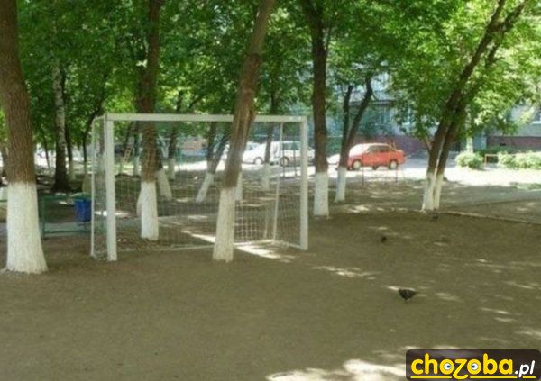 Drzewo stoi na bramce