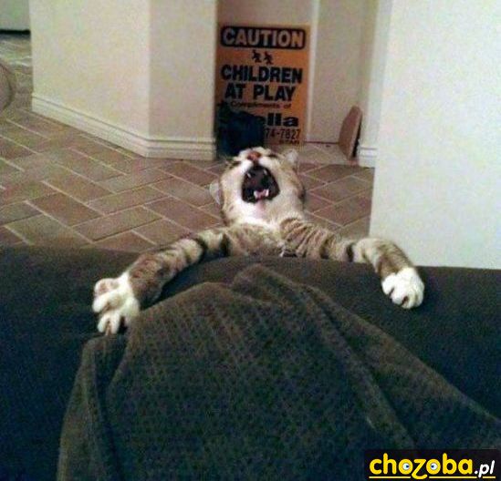 Aaaaaaa!!!