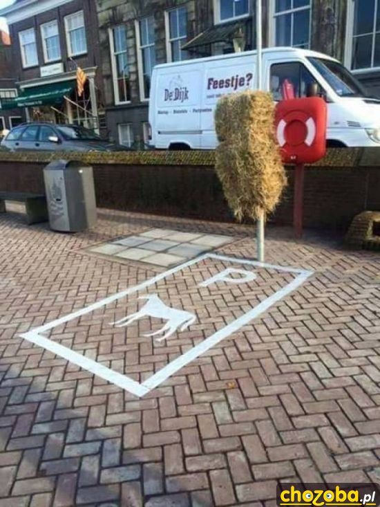 Parking dla konia