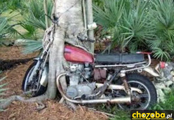 Gdy na dłużej zostawisz motor