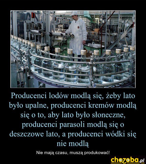 Producenci