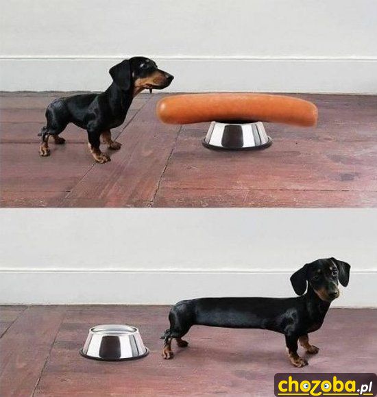 Hot-Dog