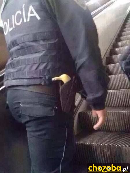 Uzbrojony policjant