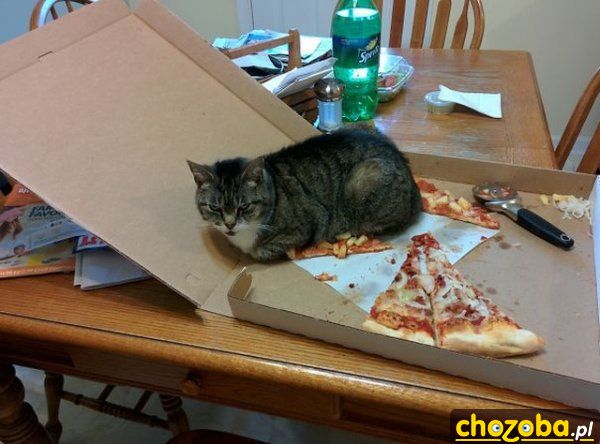 Ciepła ta pizza