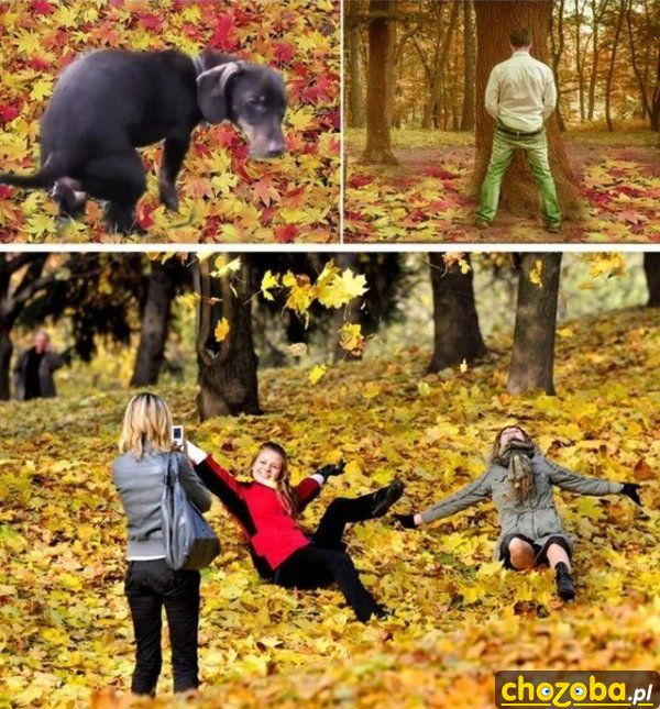 Jesień