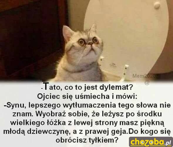 Dylemat