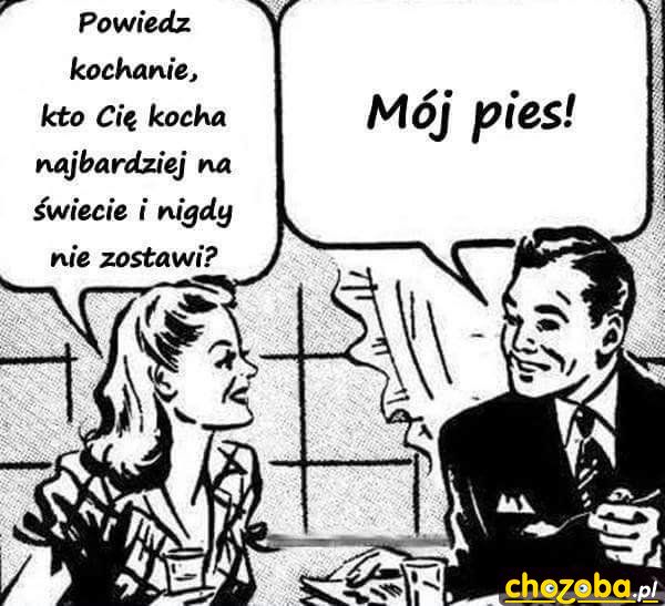 Pytanie