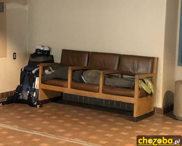 Ciężki żywot śpiocha