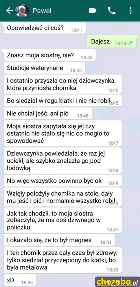 Przygoda z chomikiem