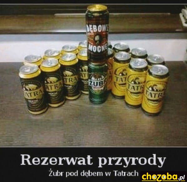 Ochrona środowiska