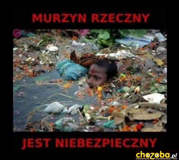 Murzyn rzeczny