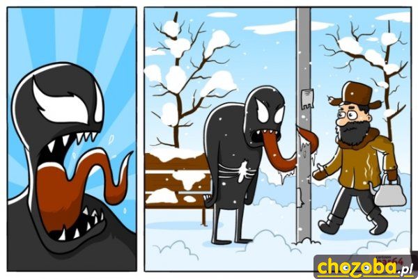 Venom zimą