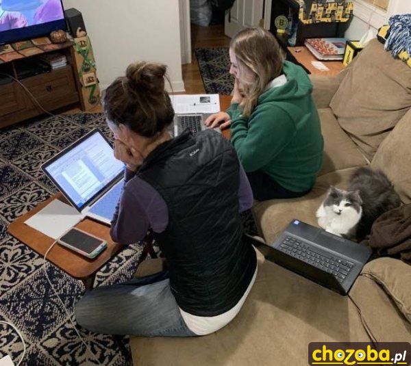 Każdy przy laptopie