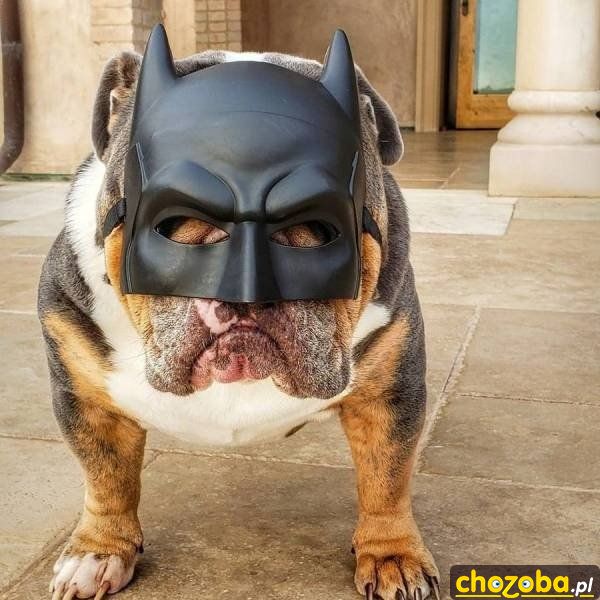 Psi Batman