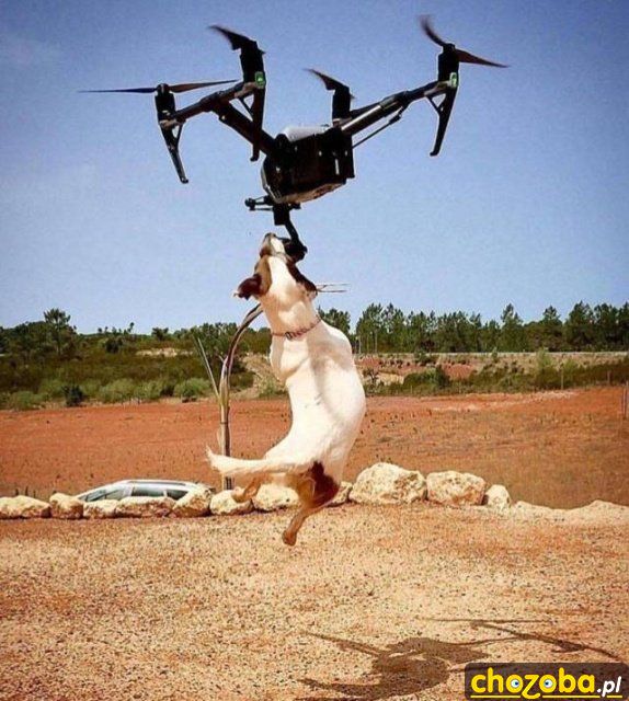 Walka z dronem