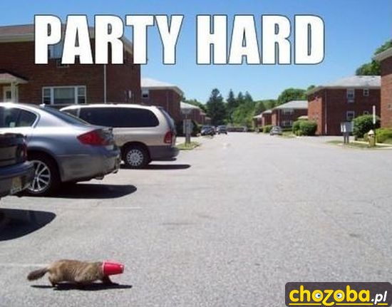 Party hard