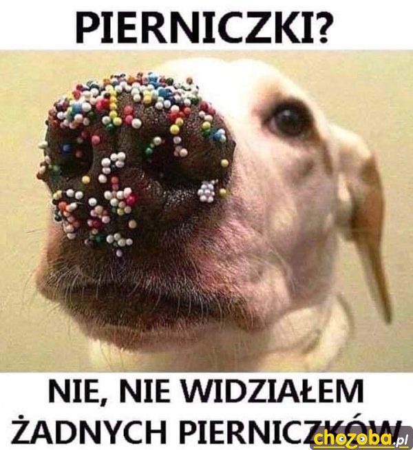 Pierniczki?
