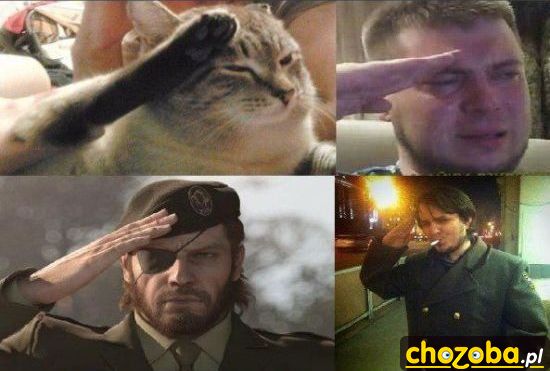 Salutowanie