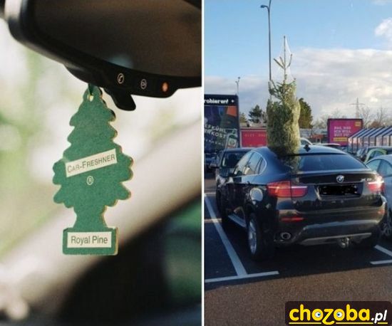 Gdy choinka urośnie