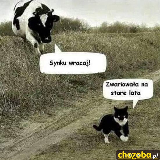 Rodzina