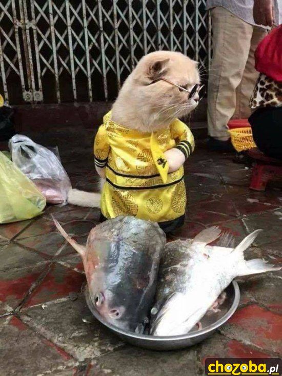 Robię sushi