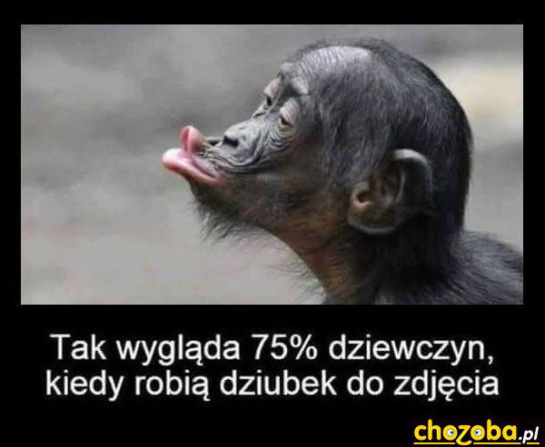 Dziewczyny z dziubkami