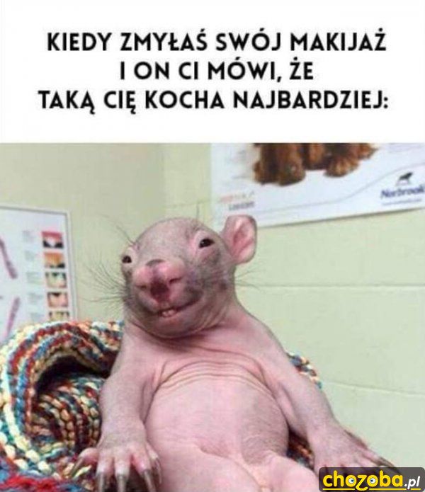 Bez makijażu