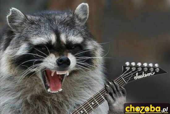 Gitarzysta