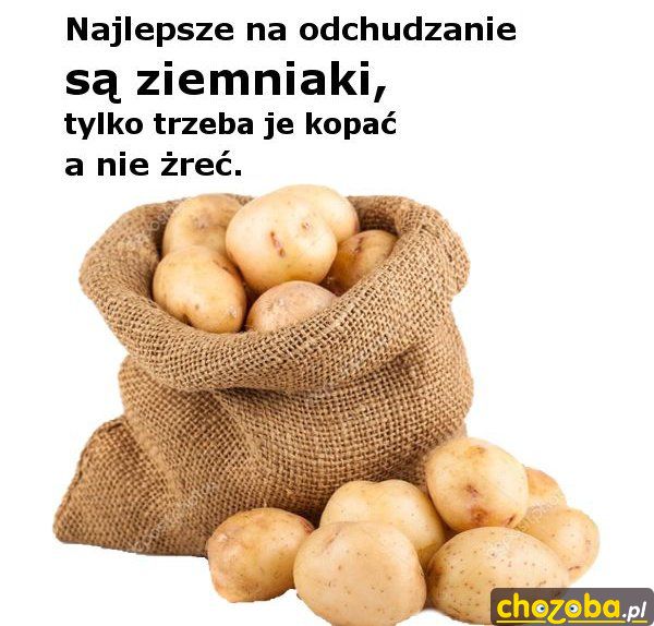 Na odchudzanie
