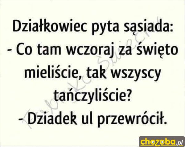 Święto na działce