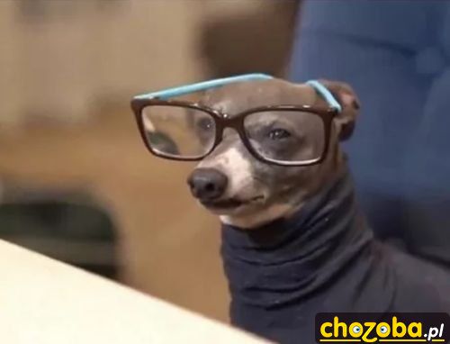 Profesor
