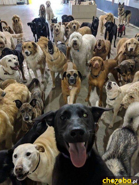 Selfie z kumplami