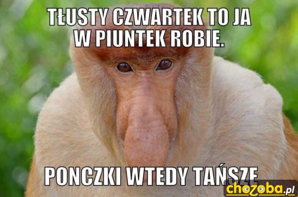 Tłusty czwartek u Janusza