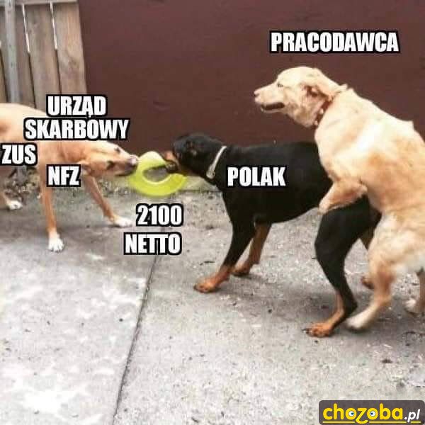 Rzeczywistość