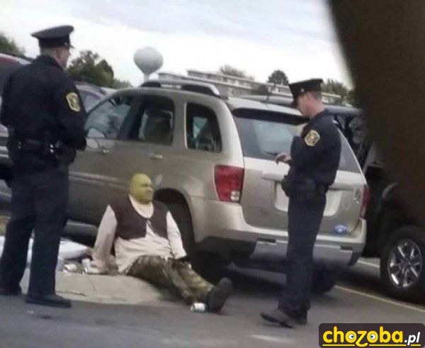 Shrek aresztowany