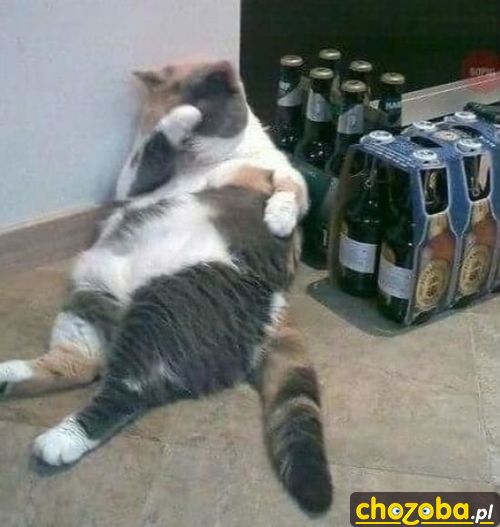 Po weekendzie