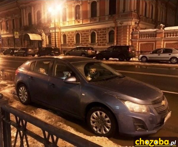 Przejażdżka z kumplami