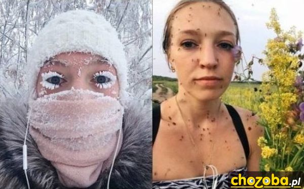 Zima czy lato?