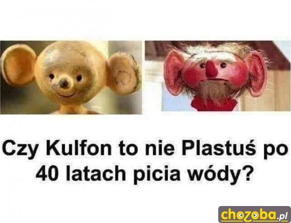 Kulfon to plastuś