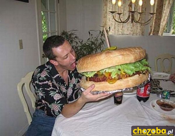 Big hamburger