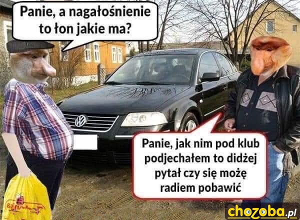 Januszowy passat