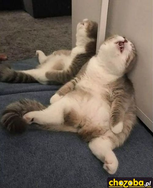 Jutro znowu do pracy