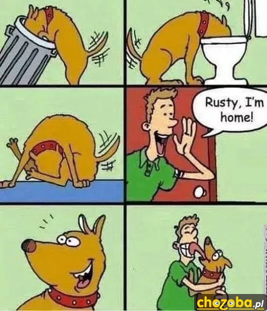 Tak to jest z psami